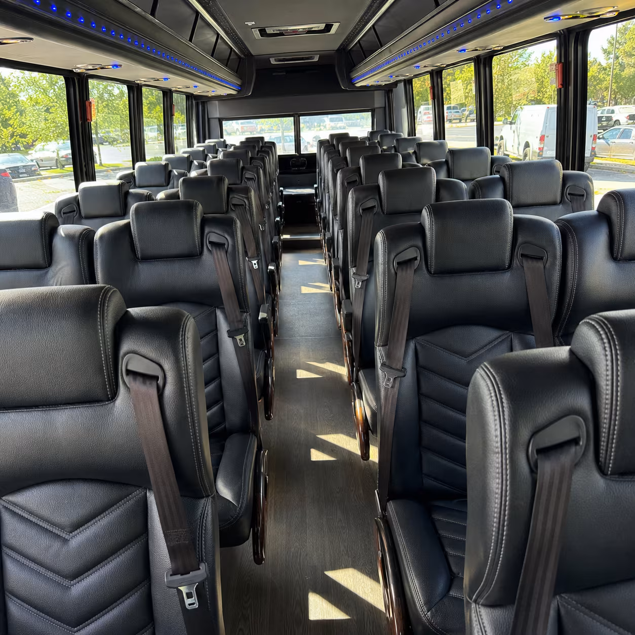 exploring galveston island and the bay area wineries with a sugar land bus rental