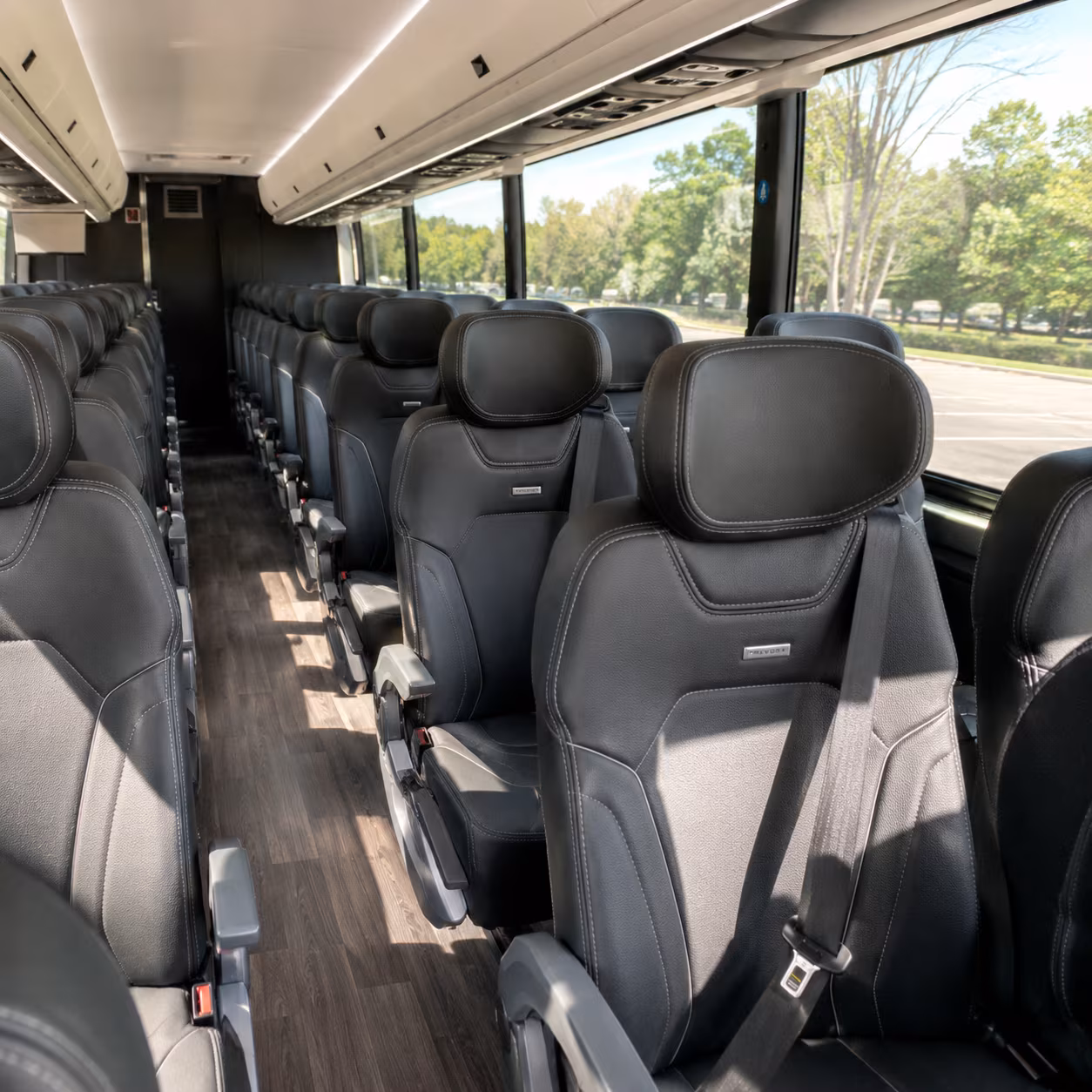 sugar land 56 passenger charter bus inside